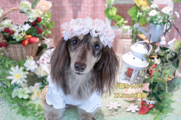 ペットちゃん用リボンクラウン ＊花柄＊ 花かんむり 花冠 わんちゃん 犬 ねこちゃん 猫