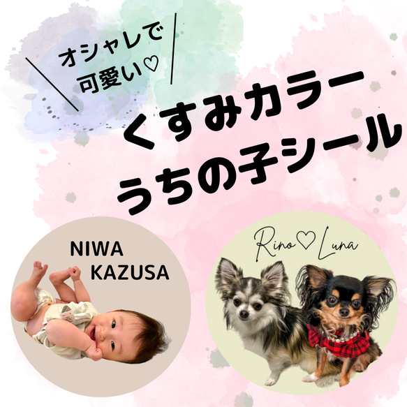 オシャレなくすみカラーまんまるうちの子シール★ステッカー　犬　猫　赤ちゃん　子ども