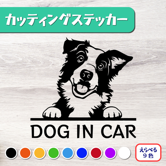 カッティングステッカー DOG IN CAR ボーダーコリー 2