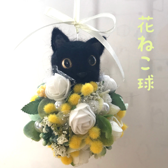 HanaNekodama✳︎花ねこ球