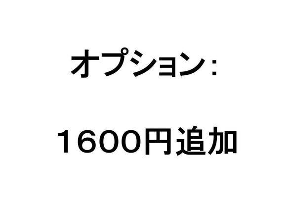 追加料金ページ： 1600円