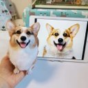 【オーダーメイドペット】羊毛フェルト、うちの子　犬ぬいぐるみ、フェルト犬、羊毛犬、肖像画、犬猫人形 プレゼントやギフトに