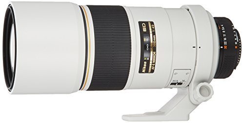 Nikon 単焦点レンズ Ai AF-S Nikkor 300mm f/4D IF-ED ライトグレー フルサイズ対応【中古品】