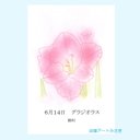 6月14日誕生花カード（花言葉つき）点描画