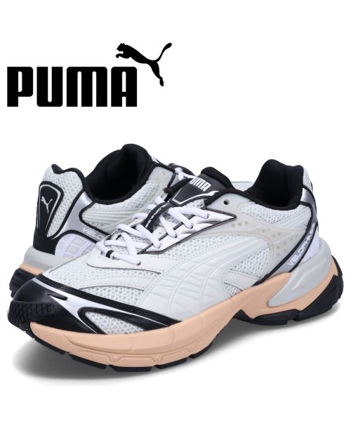 PUMA プーマ スニーカー ベロファシス テクニック メンズ VELOPHASIS TECHNISCH グレー 390932－06