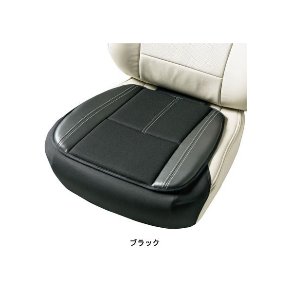 ボンフォーム ベーシックレザー 45×48cm (ヒップ型) BK FCS1655-5345-43BK