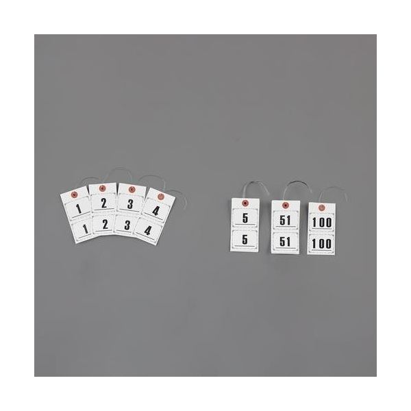 エスコ 55x105mm 連番タグ(1~100) EA475HL-51 1セット(10SET:1SET×10セット)（直送品）