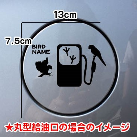 《送料無料》インコ 鳥 ステッカー リアガラス 給油口 車 愛鳥家