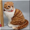 羊毛フェルト　猫　スコティッシュフォールド　ねこ　ネコ　猫フィギュア