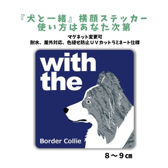 ボーダーコリーブルーマール  DOG IN CAR 『犬と一緒』ステッカー  名入れ  車 マグネット可 玄関 シール