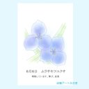 6月06日誕生花カード（花言葉つき）点描画