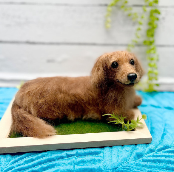 オーダー　犬♡世界でたったひとつ♡うちの子をずっとそばに♡羊毛フェルト♡ダックス　何色でも可