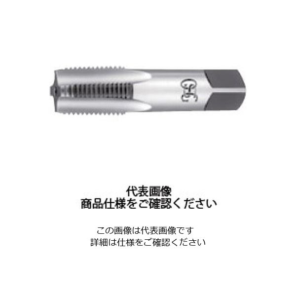 ガステーパタップ 1-11-1/2NPT 23629 S-TPT 1 - 11-1/2 NPT H G（直送品）