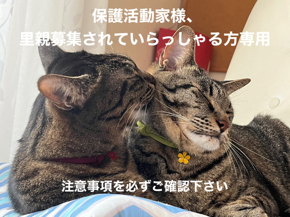 和風　猫の首輪　ちりめん細紐　子猫から小柄な成猫用（保護活動家様方専用）