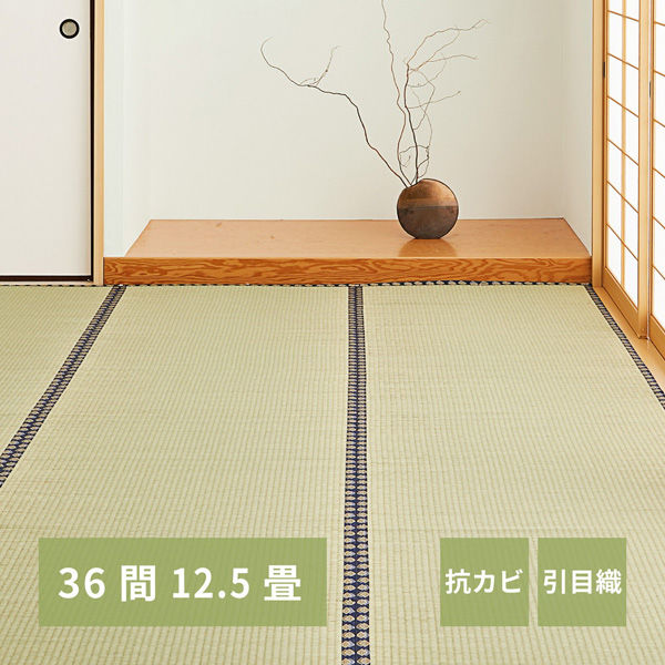 【玄関渡し】 萩原 い草カーペット　谷川（たにがわ）　36間12.5畳  455×455cm（直送品）