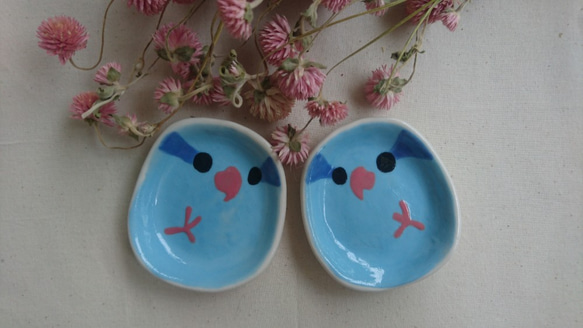 Hey！Bird Friends！Blue Pacific Parrot Bird Egg Shaped Dish