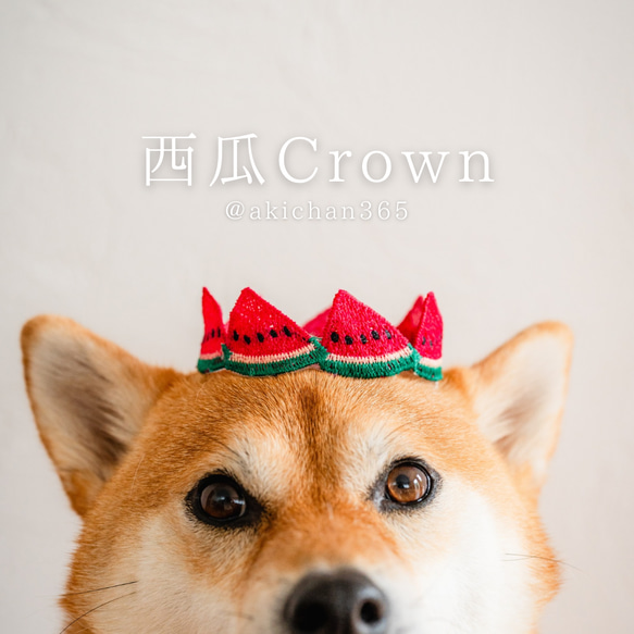 【西瓜Crown】スイカ、100日、誕生日、ハーフバースデー、ニューボーンフォト、1歳、王冠、犬、ネコ、ベビークラウン