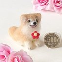 チワワ 羊毛フェルト ミニチュア 花 ちわわ チワワ犬