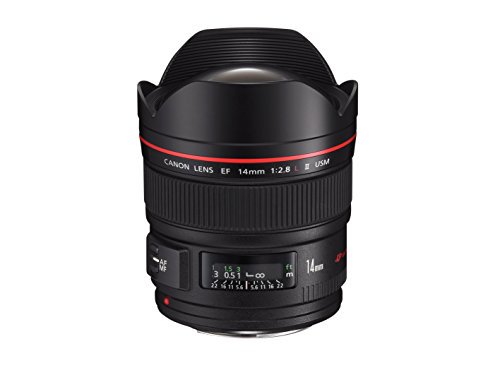 Canon 単焦点広角レンズ EF14mm F2.8 L II USM フルサイズ対応【中古品】