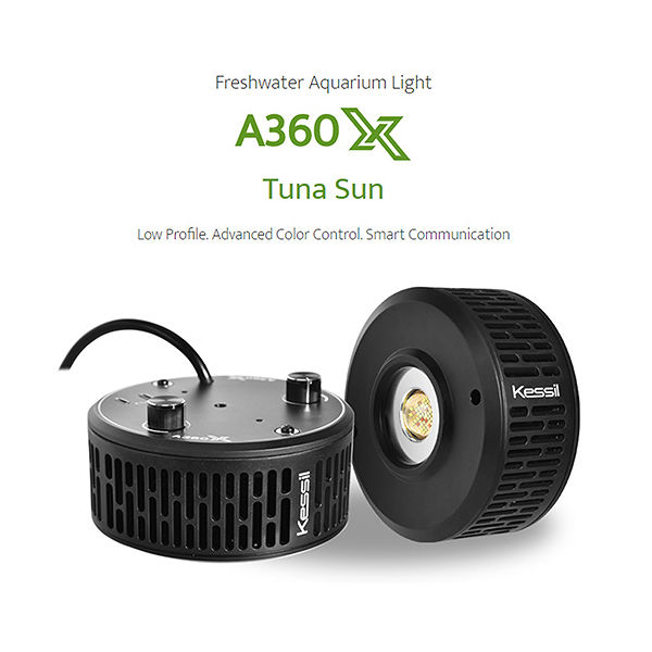 Kessil Ａ３６０Ｘ　Ｔｕｎａ　ＳＵＮ　水槽用照明 0092145343760 1個（直送品）