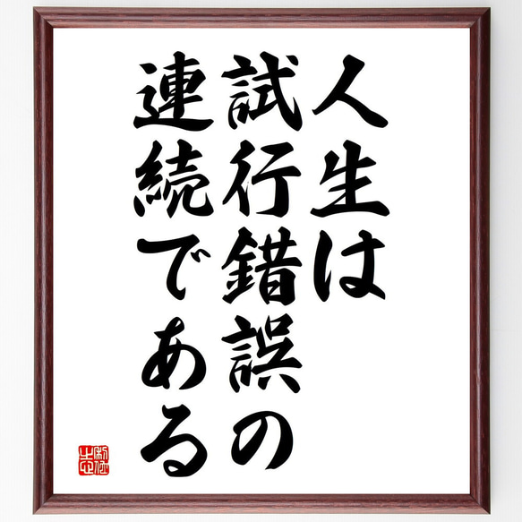 名言「人生は試行錯誤の連続である」額付き書道色紙／受注後直筆（V3768)