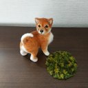 羊毛フエルト…小さな柴犬…まだ子犬