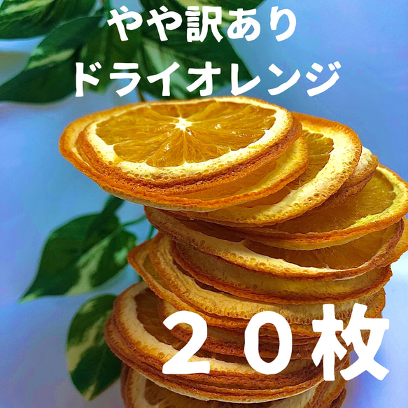 やや訳あり　ドライオレンジ　２０枚　ドライフルーツ　花材　素材