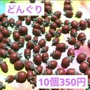 ミニチュアどんぐり10個セット