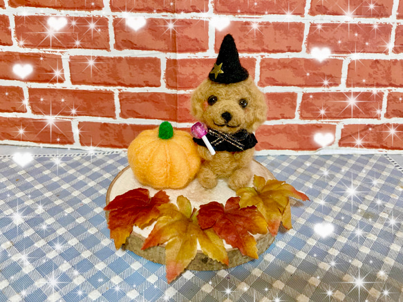 わくわく❤️トイプードルちゃんのハロウィン