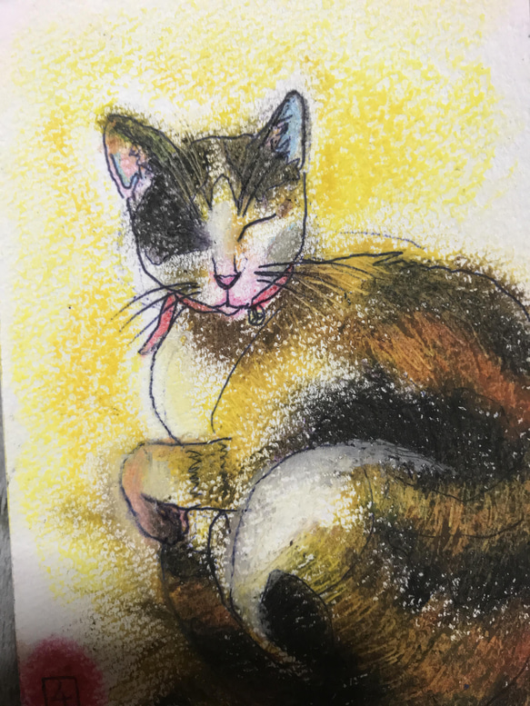 貴方の愛猫を絵にしませんか？