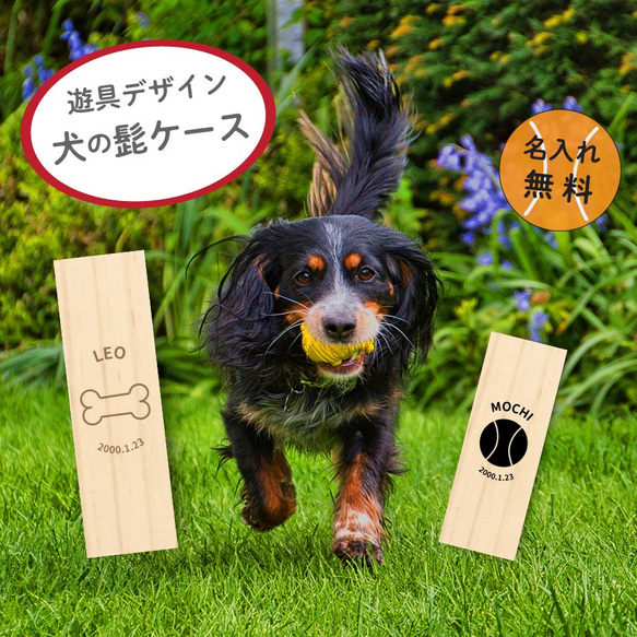 【名入れ無料】送料無料 いぬのひげケース 犬のひげケース 遊具 犬の髭ケース いぬ イヌ 犬 ひげ ヒゲ 髭 はこ