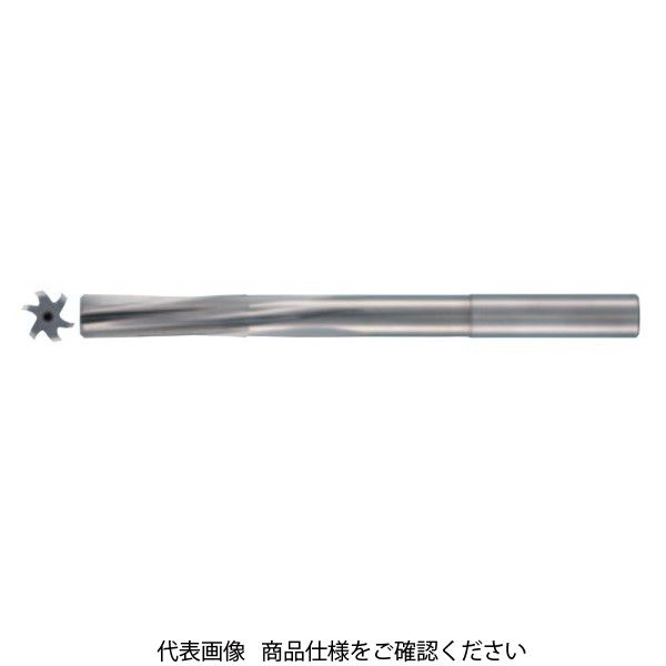 グーリングジャパン（GUHRING） 超硬リーマ 5527-6.02 1本（直送品）