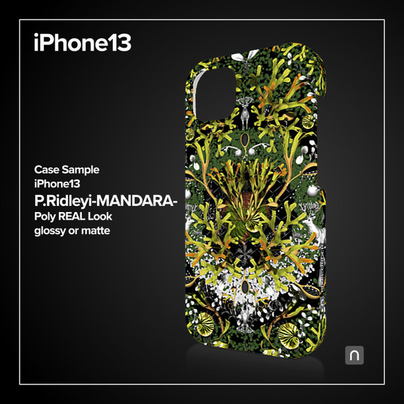 ビカクシダ リドレイiPhone13ケース【MANDARA】