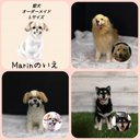 ☆愛犬オーダーメイドLサイズ☆うちのこ　羊毛フェルトオーダー(愛犬 わんちゃん 犬)