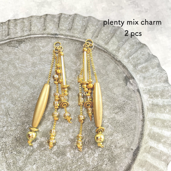 ２pcs★charm・plenty  mix（ミックスチャーム）