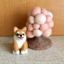 ちびころ 柴犬ちゃん『お花見』羊毛フェルト