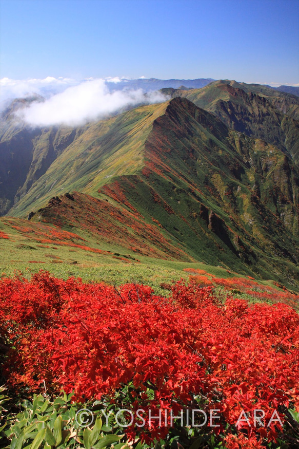 【額装写真】谷川岳の紅葉と続く稜線