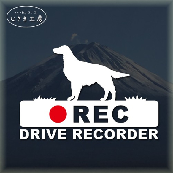 アイリッシュセッターの白シルエットステッカー後方注意!!『DRIVE　RECORDER』