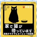 ★チャリティー★ お留守番猫 マグネットステッカー「家で猫が待っています(ドライブレコーニャー搭載車)」C01M