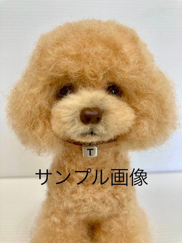 【羊毛とプー】 羊毛フェルト　オーダーメイド　ハンドメイド　愛犬　プードル　リアル　ふわふわ　かわいい　うちの子　セール