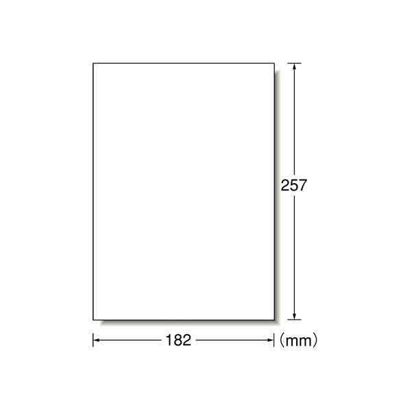 エーワン ラベルシール B5 ノーカット ホワイト 26枚 F877230-28408