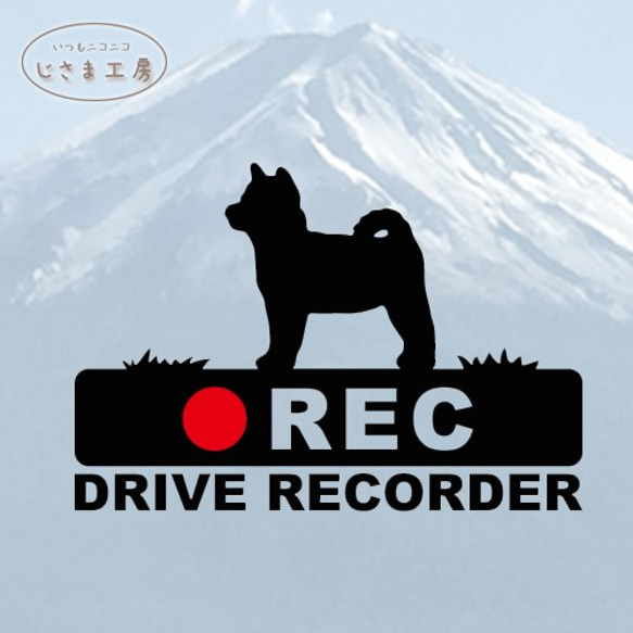 豆柴の黒シルエットステッカー後方注意!!『DRIVE　RECORDER』