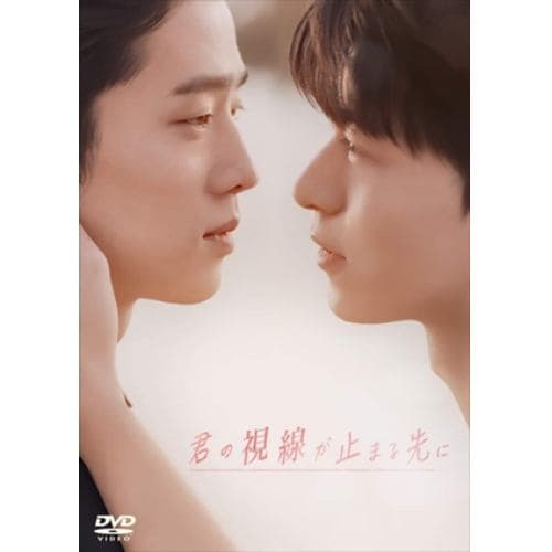 【DVD】君の視線が止まる先に