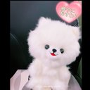 【癒し系ぬいぐるみ】ふわさら白ポメラニアンのえむくん(全長30cm)