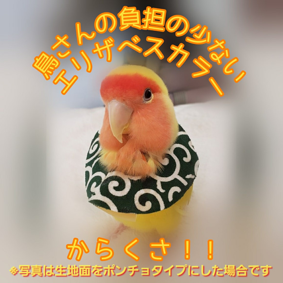 インコ エリザベスカラー(唐草模様)1枚・3サイズ・緑or赤・4g