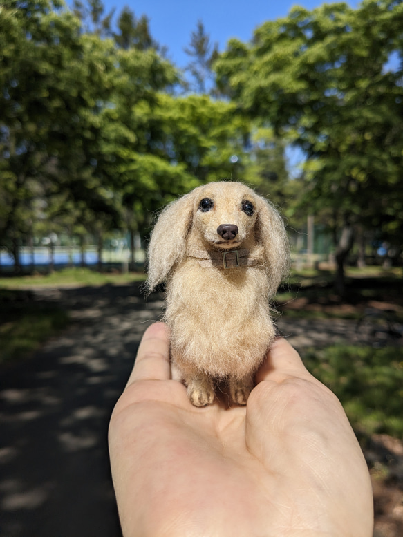 【もふもふなだけだもんアップグレード】ダックス【鼻先からお尻11cm】羊毛フェルト犬  手乗り　プレゼント