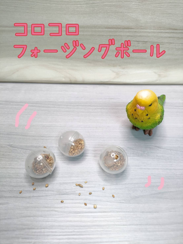 コロコロフォージングボール♡　3個セット♪　インコ　おもちゃ