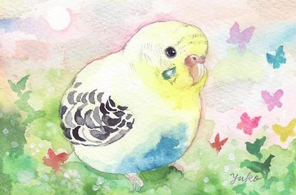 うちの子インコのイラスト（原画　鳥　インコ　オリジナル　水彩画）