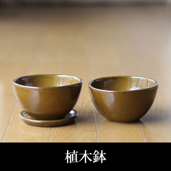 薄い茶色の陶器の植木鉢 (つやあり) (ボールタイプ)