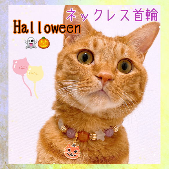 猫の首輪ハロウィン首輪✨ネックレス首輪♡ビーズ✨かぼちゃチャーム